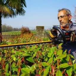 Image du fabricant 2 du WORX Taille-Haies sans Fil 40V