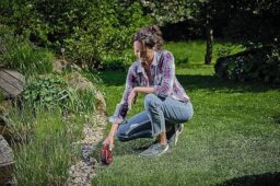 Image du fabricant 3 du Einhell Cisaille gazon sans fil