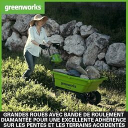 Image du fabricant 3 du Chariot Greenworks G40GC électrique