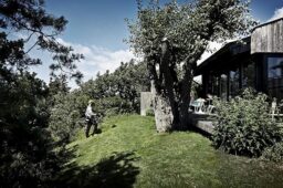 Image du fabricant 3 du Débroussailleuse McCulloch B33 B