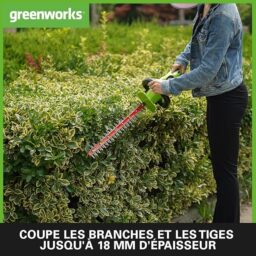 Image du fabricant 3 du Greenworks G24HT56K2 taille-haie