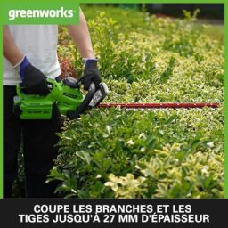 Image du fabricant 3 du Greenworks G40HT61 taille-haie batterie