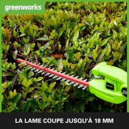 Image du fabricant 3 du Greenworks taille-haie batterie