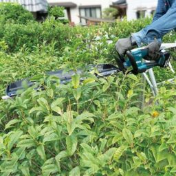 Image du fabricant 3 du Makita Taille-haie 18V Li-ION LXT 60cm