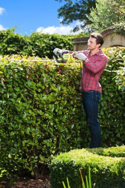 Image du fabricant 3 du RYOBI Taille-Haies Électrique 55 cm