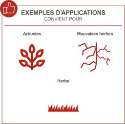Image du fabricant 3 du Scheppach Débroussailleuse BCH5200PB