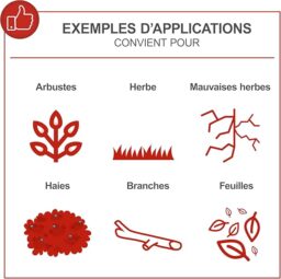 Image du fabricant 3 du Scheppach Débroussailleuse Thermique MTC42-5P