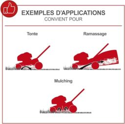 Image du fabricant 3 du Scheppach Tondeuse à Gazon MP150-46