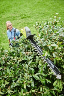 Image du fabricant 3 du Taille-haies sur perche 36V