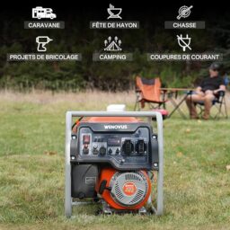 Image du fabricant 3 du WENOVUS Groupe Électrogène Silencieux