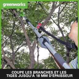 Image du fabricant 4 du Élagueuse taille haie Greenworks