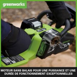 Image du fabricant 4 du Greenworks 48V tronçonneuse sans fil