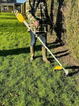 Image du fabricant 4 du Nemura Débroussailleuse Batterie 40V