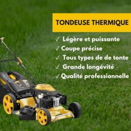 Image du fabricant 4 du Nemura Tondeuse thermique tractée