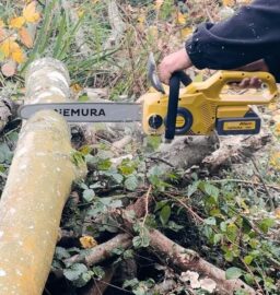 Image du fabricant 4 du Nemura Tronçonneuse Sans Fil 40V