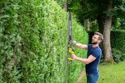 Image du fabricant 4 du Taille-Haies RYOBI 18V 55cm