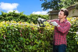 Image du fabricant 4 du RYOBI Taille-Haies Électrique 55 cm