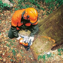 Image du fabricant 4 du Stihl MS 180 tronçonneuse thermique
