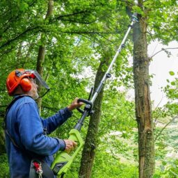 Image du fabricant 4 du Taille haie électrique multifonctions