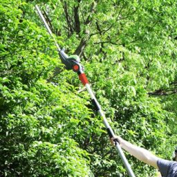 Image du fabricant 4 du Taille haies sur perche Constructor