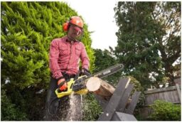 Image du fabricant 4 du Tronçonneuse électrique RYOBI 2300W 40cm