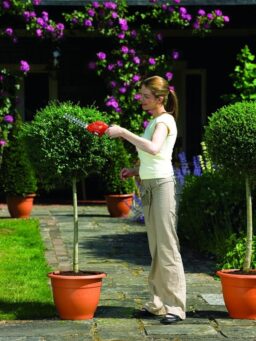 Image du fabricant 5 du BLACK+DECKER Sculpte-Haies Electrique