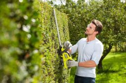 Image du fabricant 5 du RYOBI Taille-Haies sans Fil