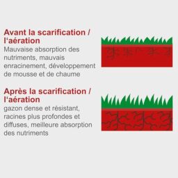 Image du fabricant 5 du Scarificateur thermique Scheppach SC55P