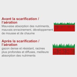Image du fabricant 5 du Scheppach Scarificateur électrique SC32