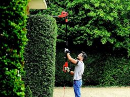 Image du fabricant 5 du Taille-Haies Black+Decker PH5551-QS