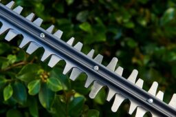 Image du fabricant 5 du Taille-Haies Ryobi 36v RY36HT60A-0