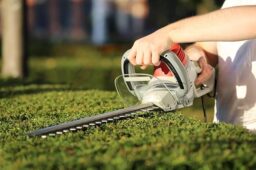 Image du fabricant 6 du IKRA taille-haie électrique IHS 650