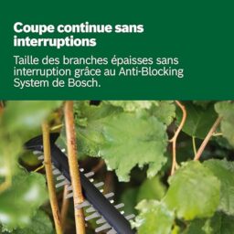 Image du fabricant 7 du Bosch Taille-Haies UniversalHedgeCut
