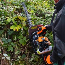 Image du fabricant 7 du Taille-haie thermique CHESTER 600mm