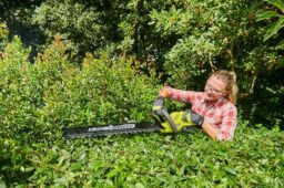 Image du fabricant 7 du Taille-Haies Ryobi 36v RY36HT60A-0