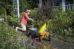 Image du fabricant 7 du WORX Brouette 8 en 1 multifonction