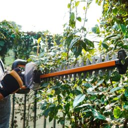 Image du fabricant 7 du Worx Taille-haie sans Fil WG263E