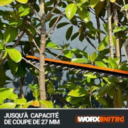 Image du fabricant 7 du WORX Taille-Haies sans Fil 40V