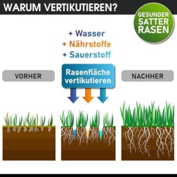 Image du fabricant 8 du BRAST scarificateur électrique 1800W