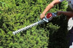 Image du fabricant 8 du IKRA taille-haie électrique IHS 650