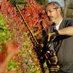 Image du fabricant 8 du Worx Taille-haie sans Fil WG263E